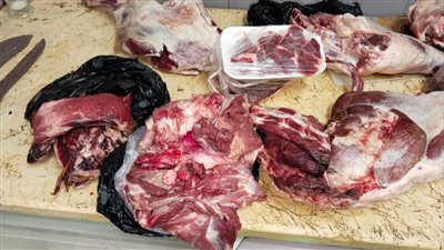 ضبط لحوم ودواجن منتهية الصلاحية بالبحيرة 