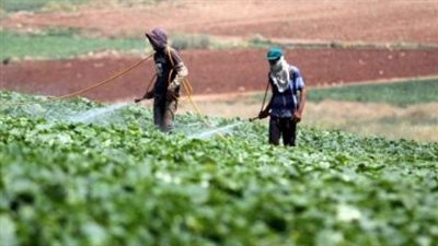 الزراعة تُكثّف التوعية لحماية المحاصيل والثروة الحيوانية من موجة الحر