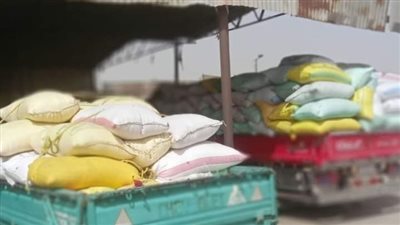 توريد 606 ألف طن قمح لصوامع وشون الشرقية 