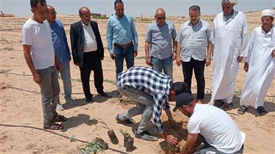 بحوث الصحراء ينظم قوافل إرشادية بشمال سيناء لتحقيق التنمية الزراعية المستدامة