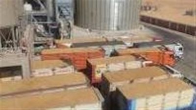 توريد 382 ألف طن قمح بشون وصوامع المنيا