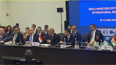 شكري يناقش سُبل تعزيز التعاون بين دول البريكس وموقفهم تجاه القضايا الدولية والإقليمية