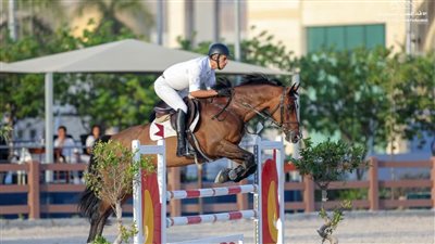 ختام بطولة كأس مصر للفروسية