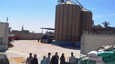توريد 154 ألف و23 طن قمح من المزارعين لصوامع وشون سوهاج 