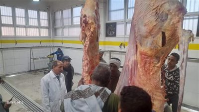 محافظ أسيوط: 33 مجزر جاهز لاستقبال عيد الأضاحي 