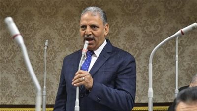 دفاع النواب: توجيهات الرئيس بالعفو عن 600 من المحكوم عليهم انتصار لحقوق الإنسان