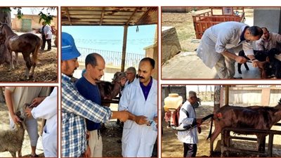 بيطري الشرقية يُنظم قافلة توعوية وقائية بقرية سنجها 