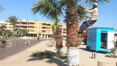 رفع 12000 طن قمامة بجمصة في الدقهلية