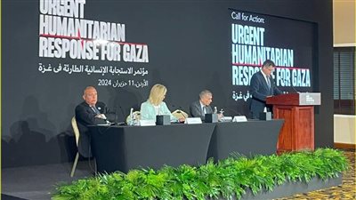 وزير الخارجية يكشف بالأرقام حجم المساعدات المصرية للفلسطينيين منذ بداية الحرب الإسرائيلية