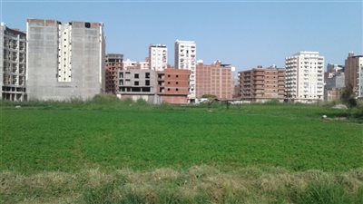 طقس شديد الحرارة بقري ومدن البحيرة اليوم الثلاثاء