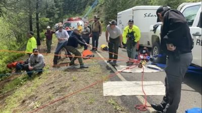 الكلب يفادي صاحبه ويعرض نفسه للموت