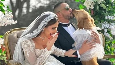 إجمالي إيرادات فيلم 