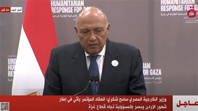 وزير الخارجية: لن يتحقق الأمن لشعب فلسطين طالما ظل محروما من حقوقه المشروعة