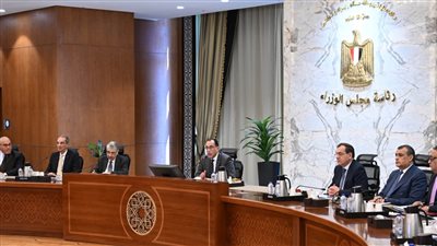 مدبولي يتابع جهود توطين صناعة الرقائق الإلكترونية وأشباه الموصلات