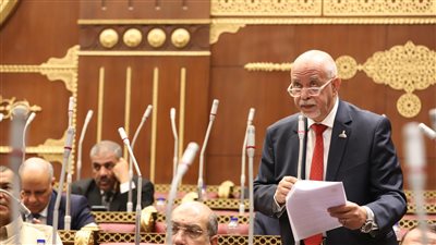 حازم الجندي: تنسيقية شباب الأحزاب نموذج ملهم للممارسة السياسية المتوازنة