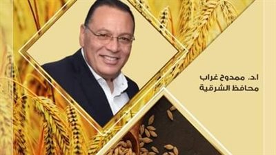 توريد 606 ألف طن قمح محلي لمواقع التخزين بالشرقية