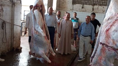 ضبط نصف طن لحوم فاسدة بالمنيا 