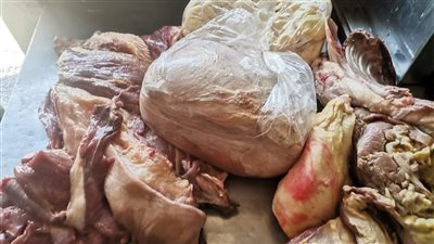 ضبط لحوم فاسدة وغير صالحة للاستهلاك الآدمي بالفيوم 