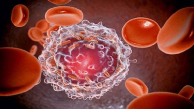 بأدلة علمية.. غذاء فائق يمكن أن يحد من خطر الإصابة بالسرطان