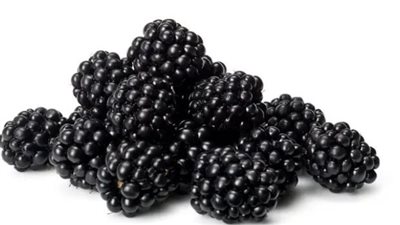 إليك أفضل 6 فواكه قليلة السكر