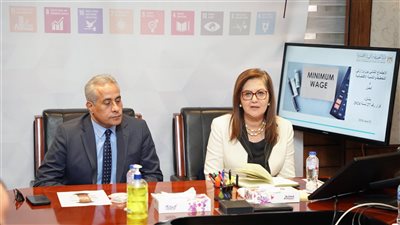 وزيرا التخطيط والعمل يبحثان الملفات المشتركة وآليات تطبيق الحد الأدنى للأجور