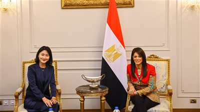 مباحثات مصرية صينية لتعزيز التعاون الإنمائي ومبادلة الديون