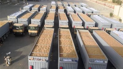  توريد 388 ألف طن قمح إلى شون وصوامح أسوان