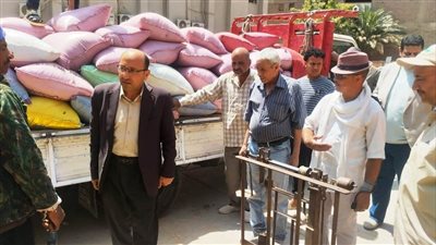 شون وصوامع سوهاج تستقبل 157 ألف طن قمح من المزارعين