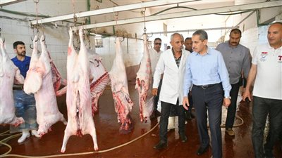 محافظ الغربية يتفقد استعدادات المجازر والحدائق لعيد الأضحى المبارك