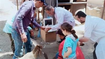 قافلة طبية بيطرية مجانية بقرية ميت العز بالشرقية