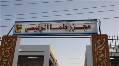 25 مجزر جاهز للعمل طوال اليوم وذبح الأضاحي بالمجان بسوهاج