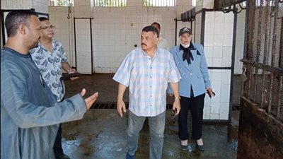 مجازر المنيا جاهزة لاستقبال عيد الأضحى المبارك