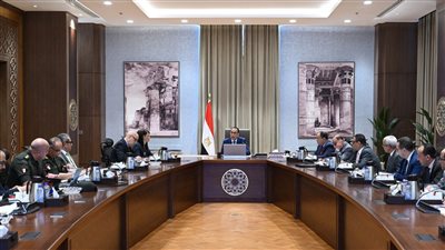 مدبولي يستعرض مقترحًا لإنشاء برج 