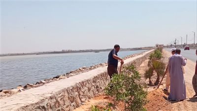  زراعة 51 ألف شجرة بمراكز وقرى الفيوم  