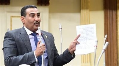 برلماني: مصر نجحت في تشييد بنية تحتية جاذبة للاستثمار