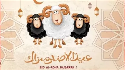  أبرز رسائل التهنئة بعيد الأضحي المبارك