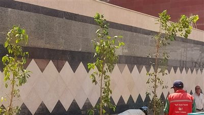 جهود وزارة البيئة في تنفيذ المبادرة الرئاسية 