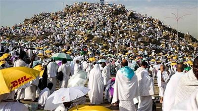 واعظ بالأزهر: يوم عرفة من أفضل الأيام والله أقسم به لعظمته (فيديو)