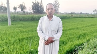 نقيب الفلاحين بالشرقية: مزارعو جمعية رمسيس الزراعية يعانون من نقص في الأسمدة 