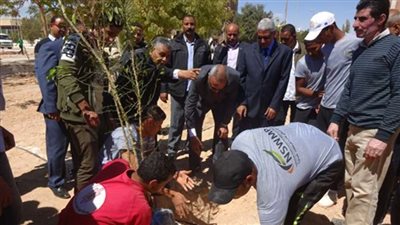 البيئة: زراعة 14 ألف شجرة مثمرة وزينة في قنا وأسيوط