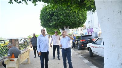 محافظ الغربية يتفقد الحدائق والمنتزهات بكفر الزيات وبسيون