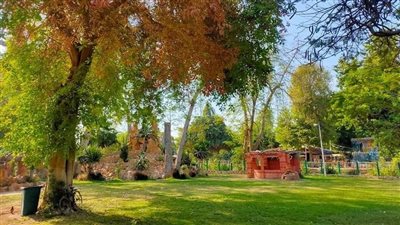 صور.. حدائق القناطر الخيرية تتزين استعداد لعيد الأضحى