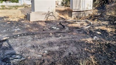 محافظ أسوان يوجه بسرعة التدخل لإصلاح كابل الكهرباء الرئيسي بنصر النوبة