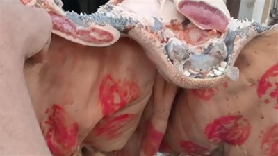تحرير 312 محضراً تموينيا في حملات أسواق بالمنيا 