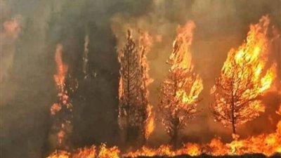 قصف الاحتلال يشعل حريقا ضخما في بلدة شبعا جنوب لبنان (فيديو)