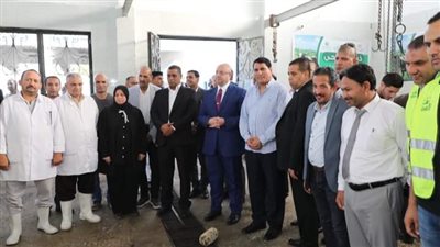 محافظ بنى سويف يشهد ذبح الأضاحى بإجمالى 225 رأساً