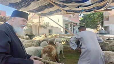 مشاركة الأقباط احتفالات المسلمين.. سيمفونية من التلاحم الوطنى