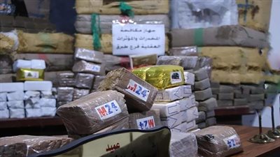 سقوط عناصر إجرامية بحوزتهم أسلحة بـ170 مليون جنيه