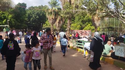 حديقة الحيوان بالزقازيق تشهد إقبال كبير في أول أيام عيد الأضحى المبارك 