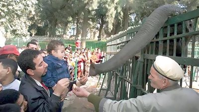 المواطنون يحتفلون بالعيد على الشواطئ والمتنزهات